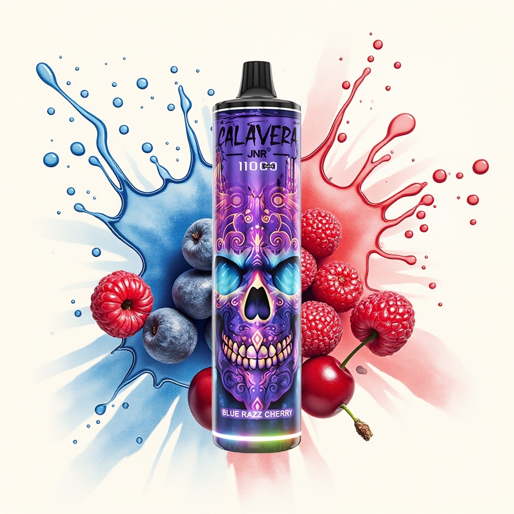 JNR Calavera 11000 Niebieska Malina Wiśnia z Typem-C i 850 mAh