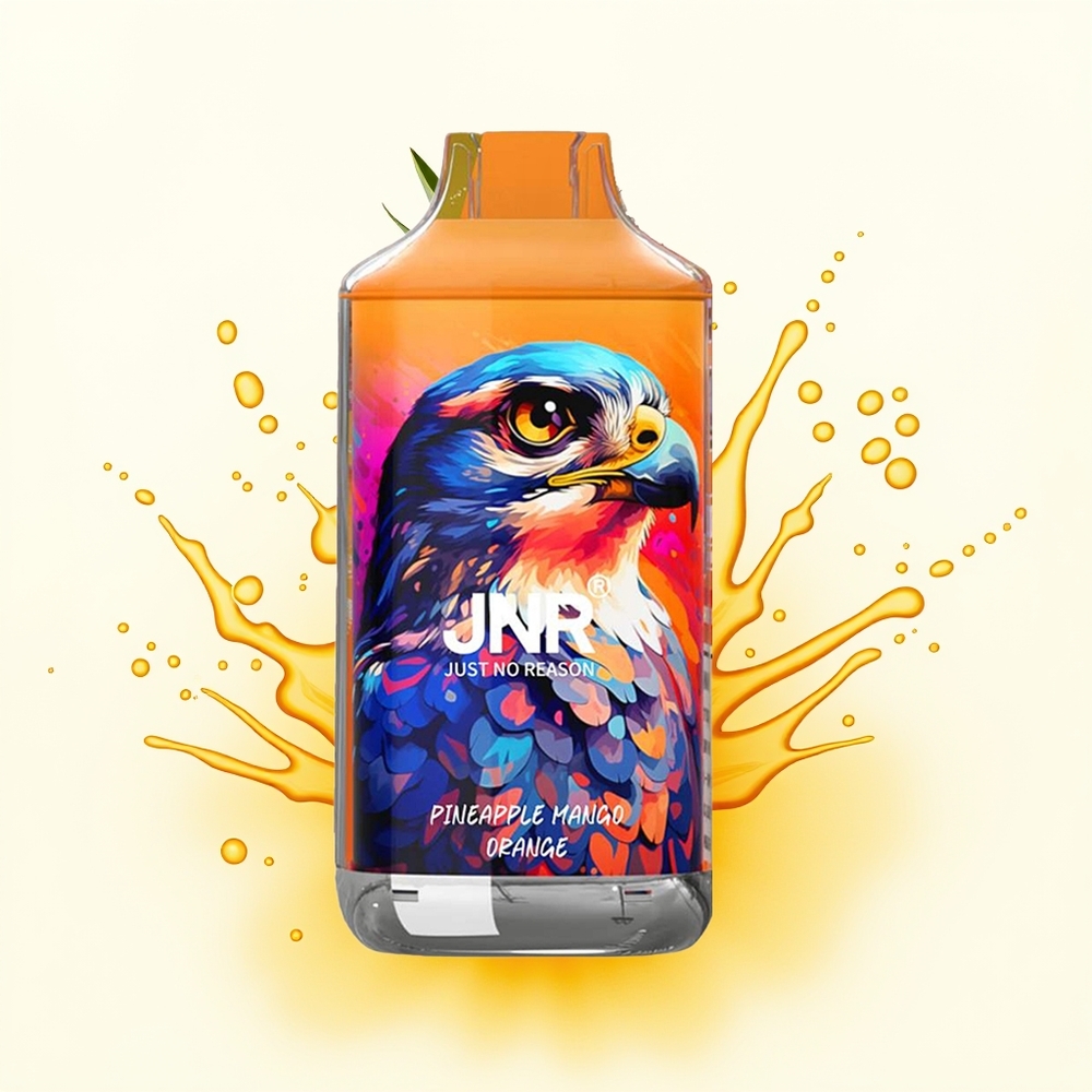 JNR Falcon 16000 Ananas Mango Pomarańcza Dual Mesh 850mAh