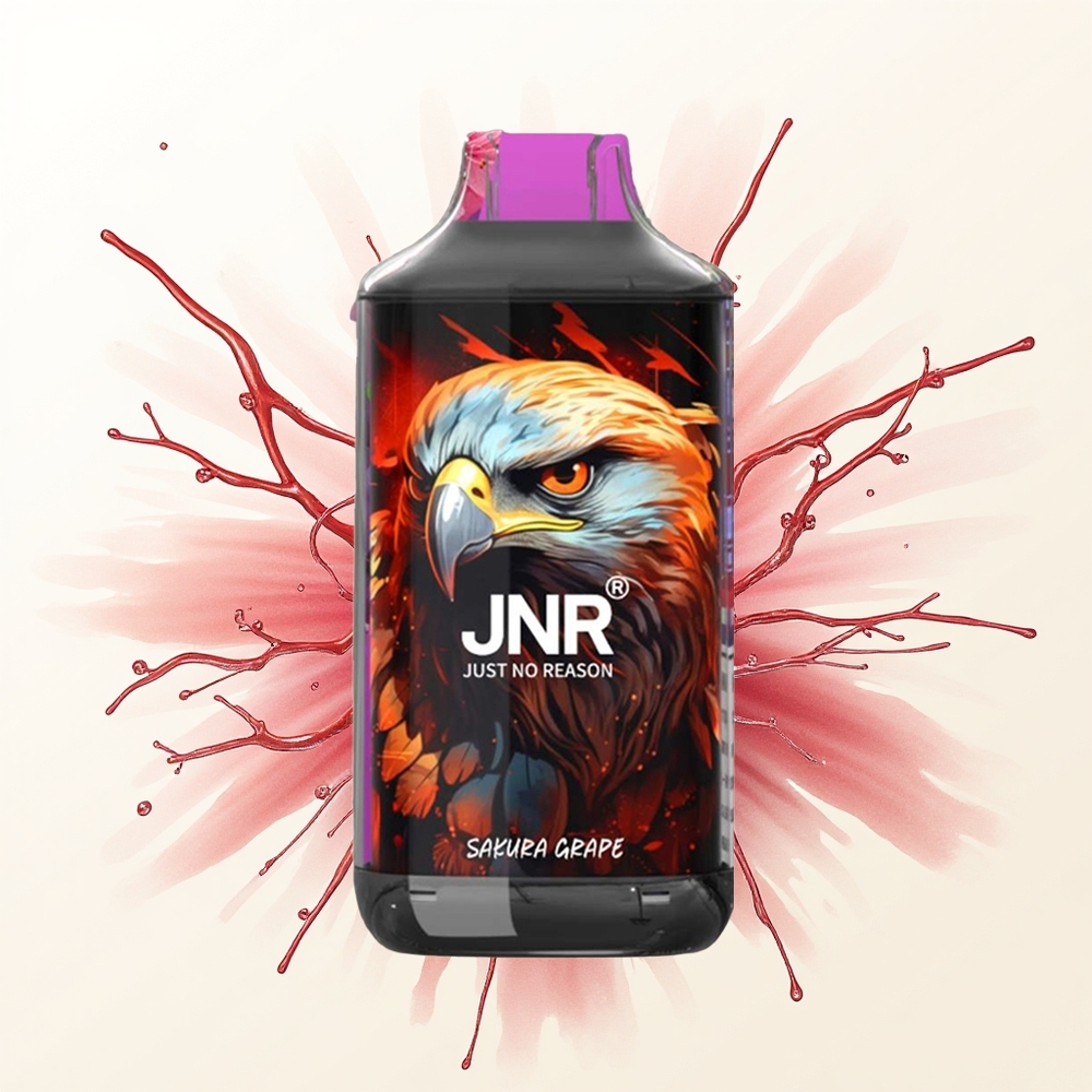 JNR Falcon 16000 Wiśnia Winogrono 850mAh Dual Mesh