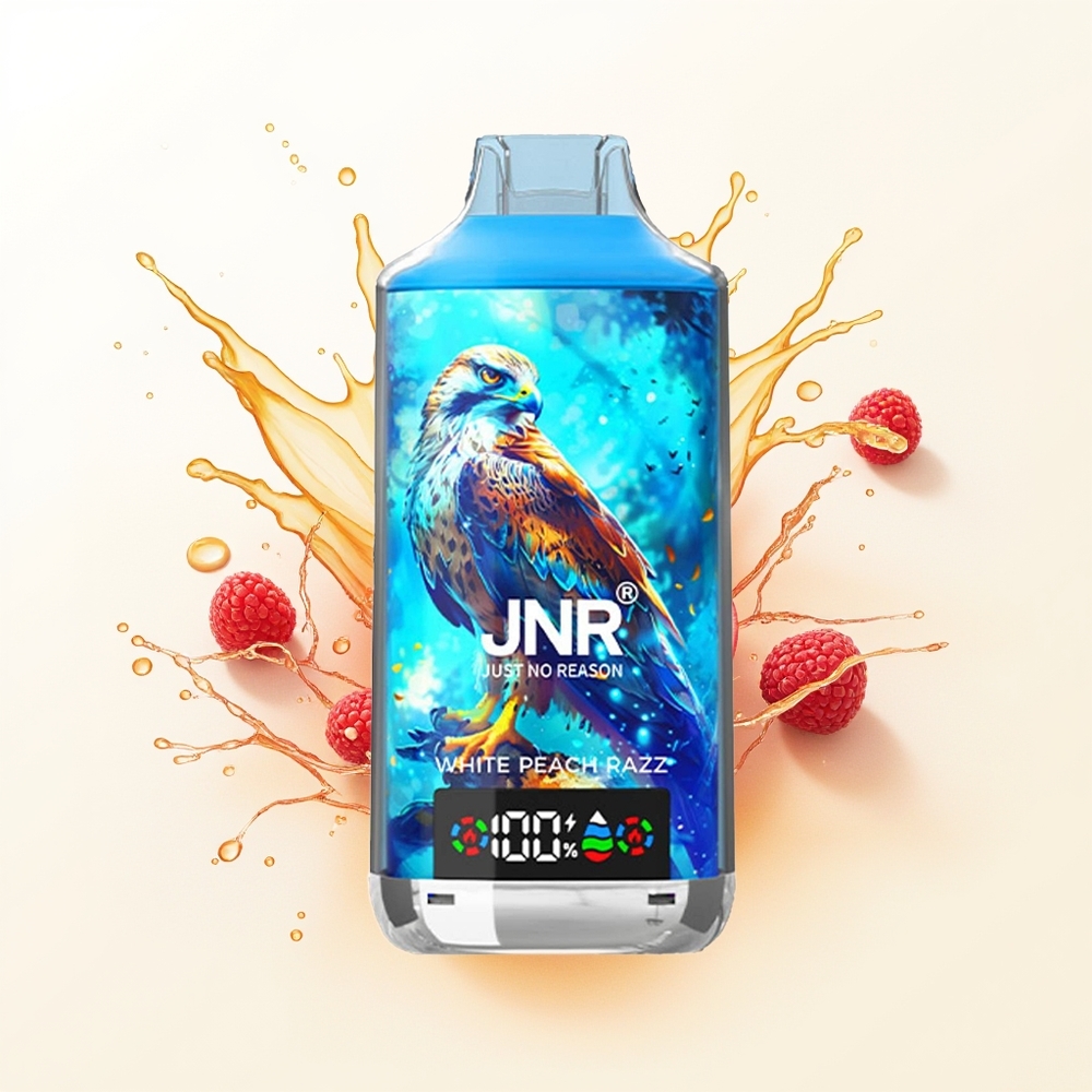 JNR Falcon X 18000 Biała Brzoskwinia Razz Dual Mesh 24ml