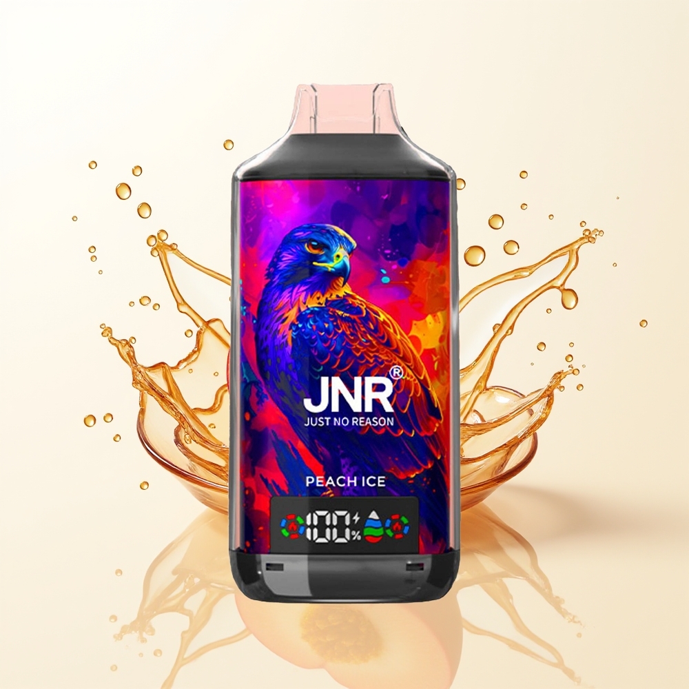 JNR Falcon X 18000 Brzoskwiniowy Lód Podwójny Rdzeń 24ml Cyfrowy