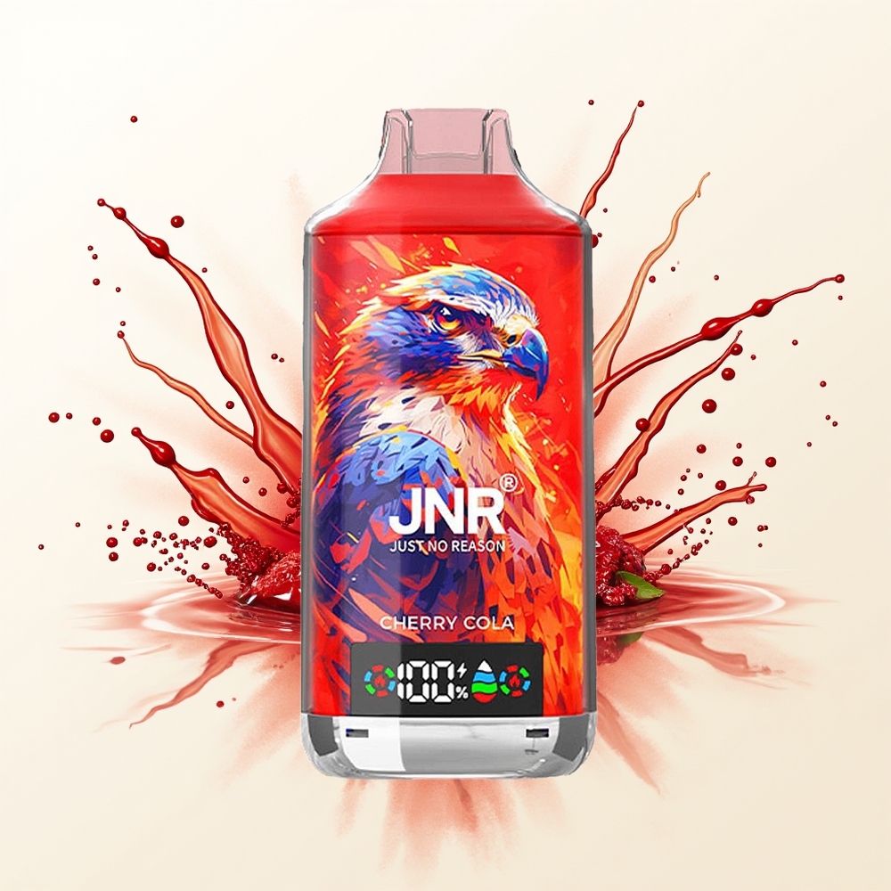 JNR Falcon X 18000 Wiśnia Rozsądek Dual Mesh 24ml Type-C