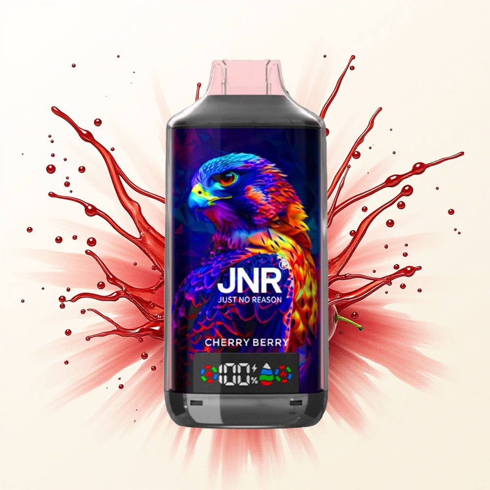 JNR Falcon X 18000 Wiśniowa Jagoda DualMesh 24ml 750mAh