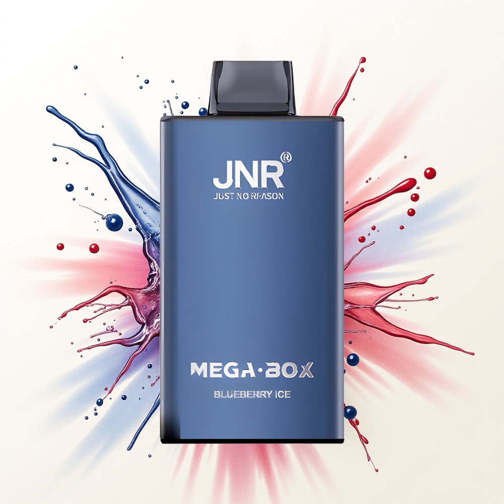 JNR Mega Box 25000 Lodowy Borówka z Podwójnym Rdzeniem i Typem-C