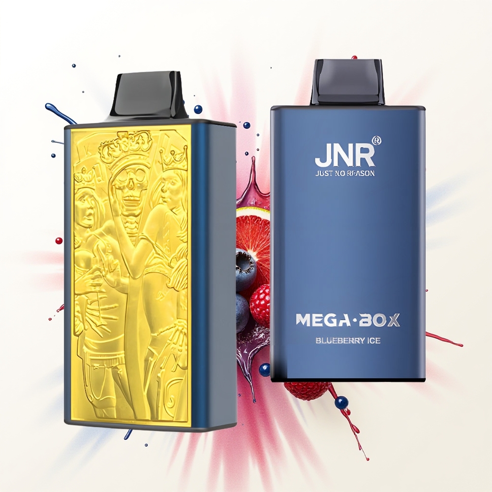 JNR Mega Box 25000 Lodowy Borówka z Podwójnym Rdzeniem i Typem-C