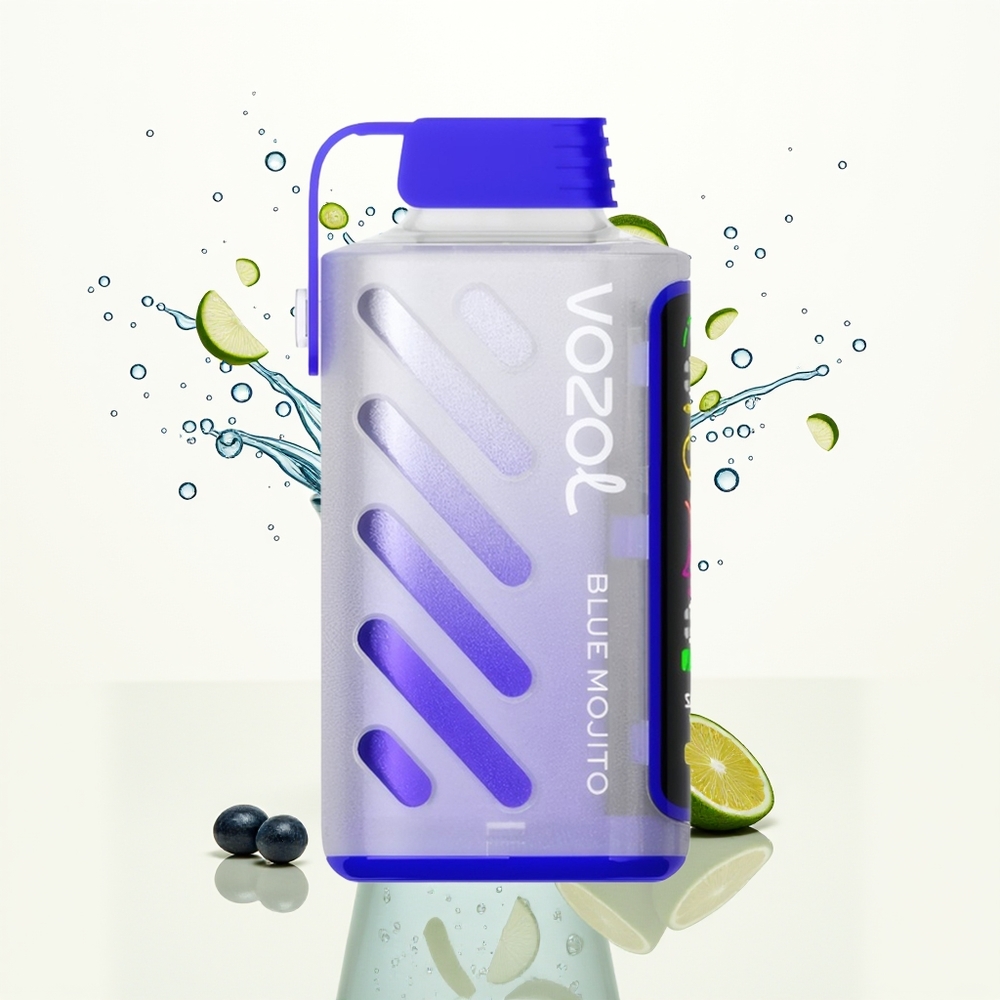 VOZOL Gear Power 20000 Błękitny Mojito z Podwójną Siatką i Pełnym Ekranem