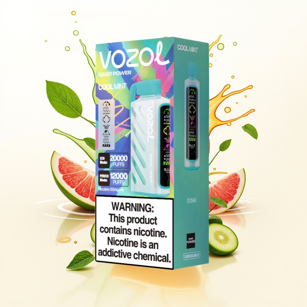 VOZOL Gear Power 20000 Chłodna Mięta z Podwójną Siatką i Pełnym Ekranem