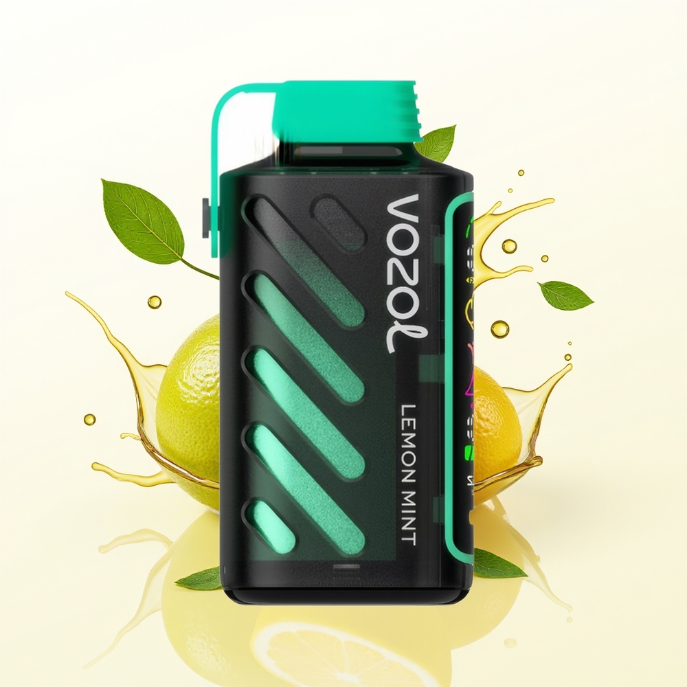 VOZOL Gear Power 20000 Cytrynowo-Miętowy Dual Mesh Pełny Ekran