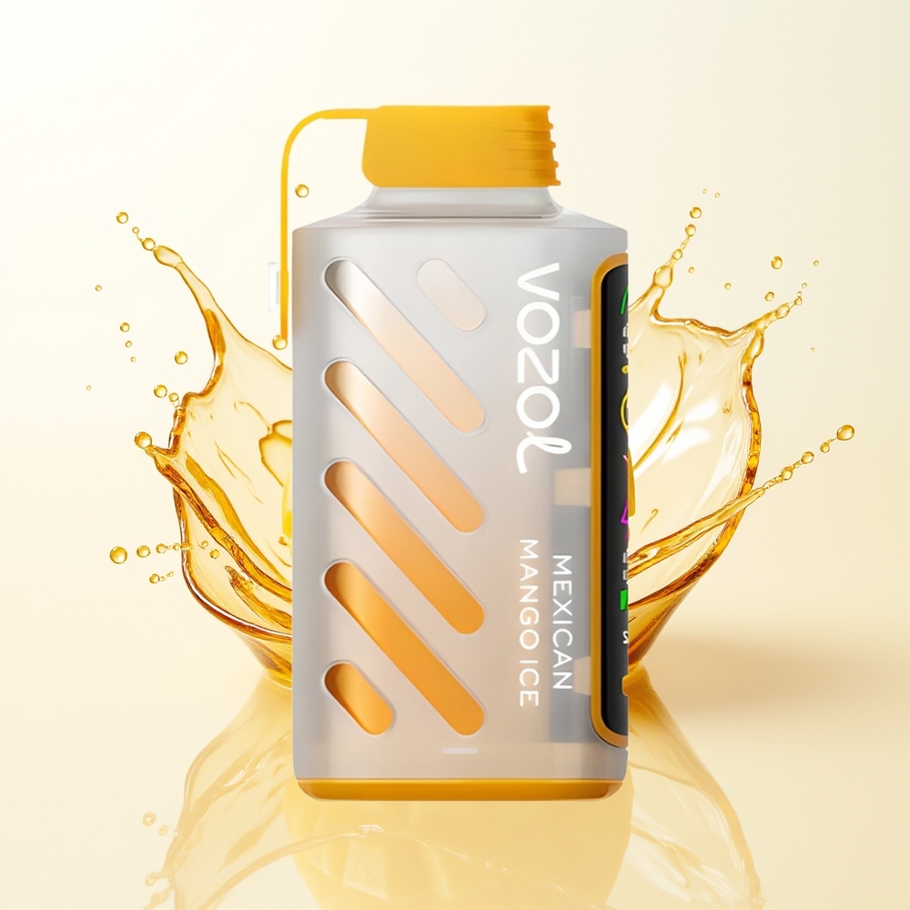 VOZOL Gear Power 20000 Lodowy Mango z Podwójną Siatką i Ekranem Pełnoekranowym
