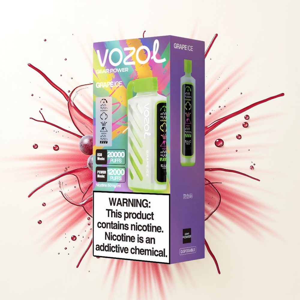 VOZOL Gear Power 20000 Lodowy Winogron z Podwójną Siatką i Ekranem Pełnoekranowym