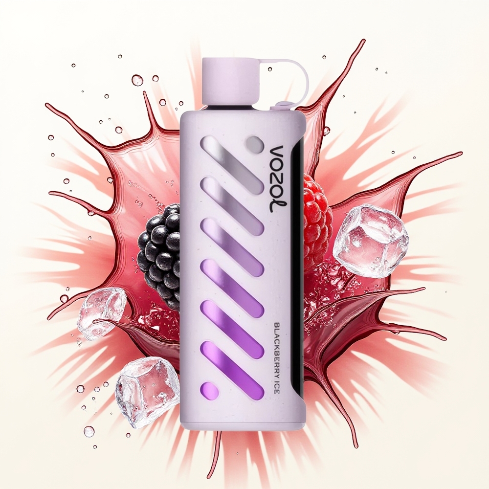 VOZOL Gear Shisha 25000 Jeżyna Lód z Podwójnym Modes i S.i.L.C Tech